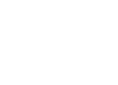 Avianor